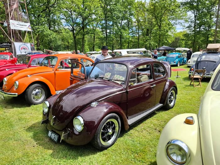 Aircooled Volkswagens at 40 Jaar Aircooled Friendship — KCN Regio Limburg, Limburg.