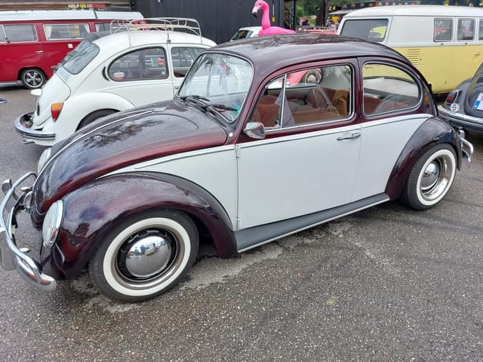 Aircooled Volkswagens at Le Bug Show 2024, Spa Francorchamps.