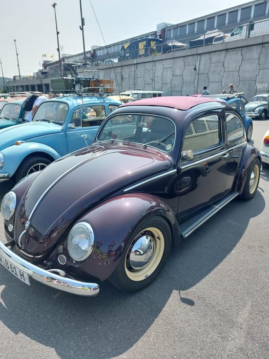 Aircooled Volkswagens at Le Bug Show 2025, Spa Francorchamps.